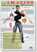 Human Body Facts