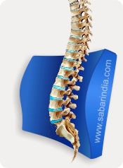 Lumbocare Aligns Spine anatomically