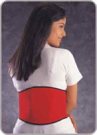 bio-magnetic lumbar support